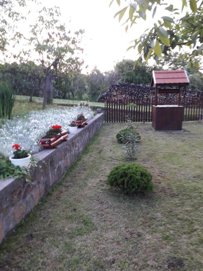 Mátyás Madár Vendégház Tard Exterior foto