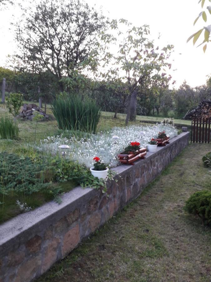 Mátyás Madár Vendégház Tard Exterior foto